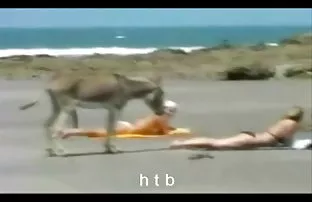不怕哥哥和ottarabanil他多汁的女朋友