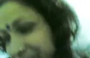 Pikaper在自然界中舔陌生人的猫