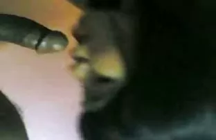 第一次约会的长头发的黑发女郎被给予灰头发的bb