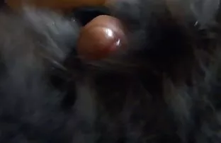 吞咽香槟，勇敢的黑发吸吮她朋友强大的黑色鸡巴